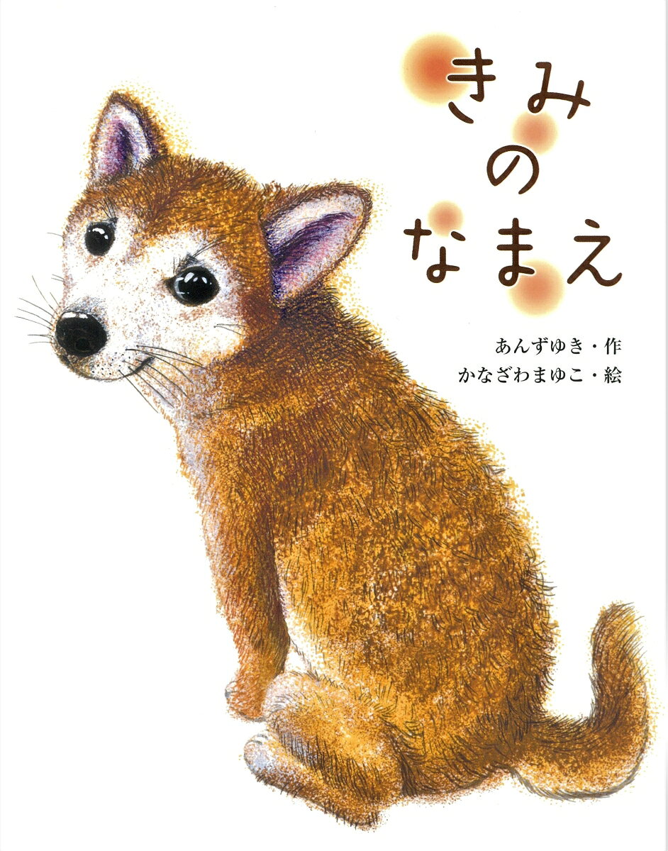 きみのなまえの表紙