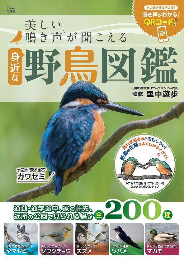 美しい鳴き声が聞こえる身近な野鳥図鑑