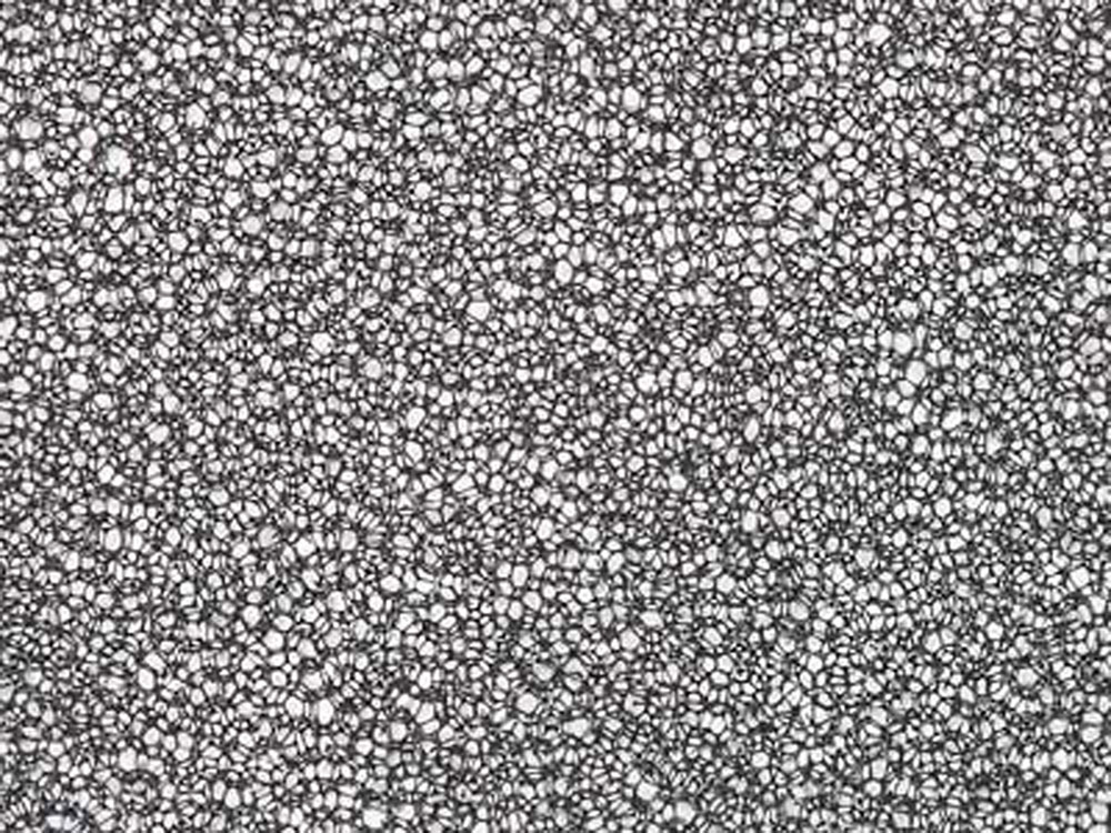 製品画像：24位