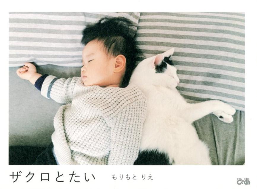 ザクロ（ねこ♂１３歳）とたい（人間♂３歳）。ねこのにーちゃんとにんげんのおとうとのあったかくてやさしくてらぶらぶな毎日。大人気のＩｎｓｔａｇｒａｍ、待望の書籍化。