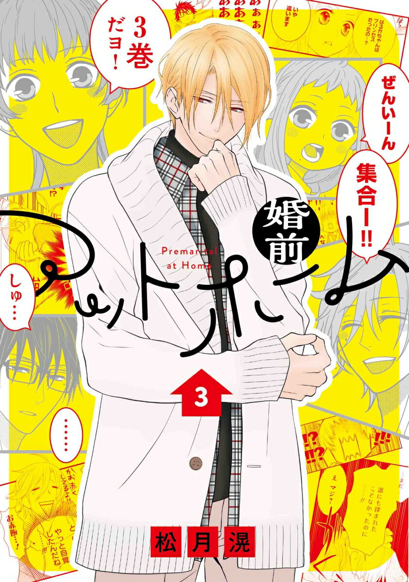 婚前アットホーム 3 花とゆめコミックススペシャル [ 松月 滉 ]