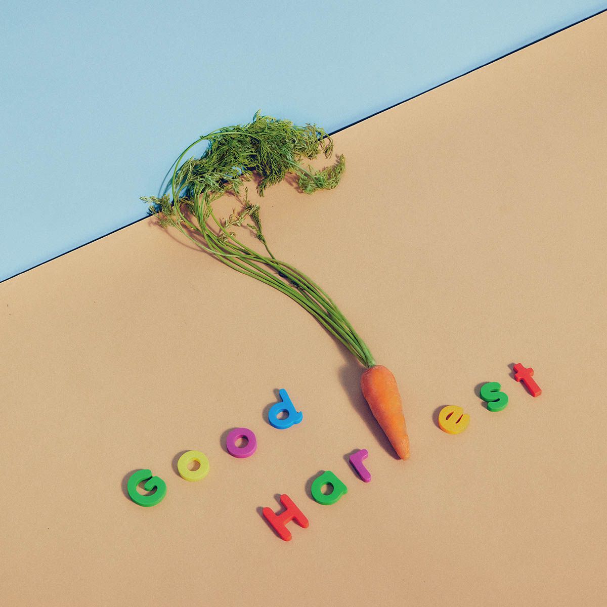 【先着特典】Good Harvest(ランダムトレーディングカード （全6種）)