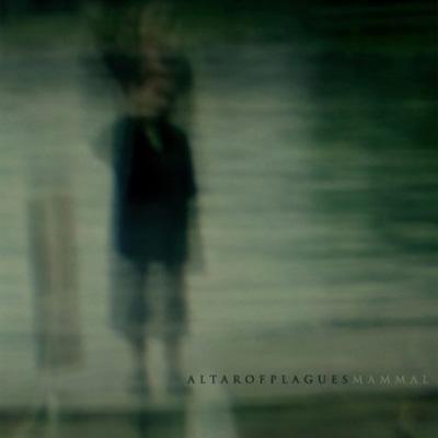 【輸入盤】Mammal