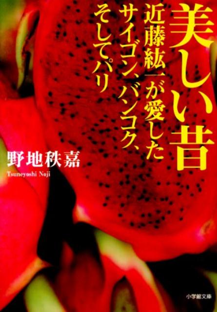 美しい昔 近藤紘一が愛したサイゴン、バンコク、そしてパリ