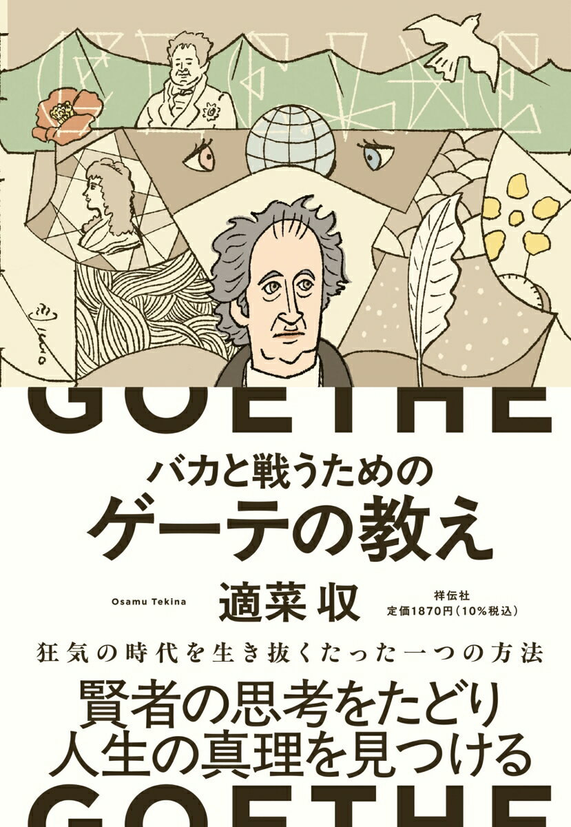 バカと戦うためのゲーテの教え （単行本） [ 適菜 収 ]のサムネイル