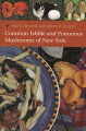 Mycologists Alan and Arleen Bessette offer a complete guide to mushroom identification in New York State. Written for readers interested in the safe collection and consumption of a variety of mushrooms, the book includes identification keys for each species and detailed descriptions of poisonous species. In addition, the book is filled with vivid color photographs. Celebrating the culinary adventure of mushroom gathering, the authors include attractive recipes accompanied by photographs of the recipes' preparation. While the concise, accurate, and easy-to-follow descriptions provide the novice with a safe and reliable introduction to mushroom gathering, the book also serves as an essential reference guide for experienced mushroom enthusiasts.