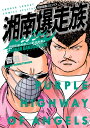 湘南爆走族 桜井信二＆原沢良美編（特装版） （少年サンデーコミックス） 吉田 聡