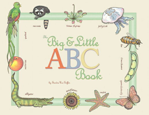 The Big and Little ABC BIG & LITTLE ABC [ Sandra Ure Griffin ]
