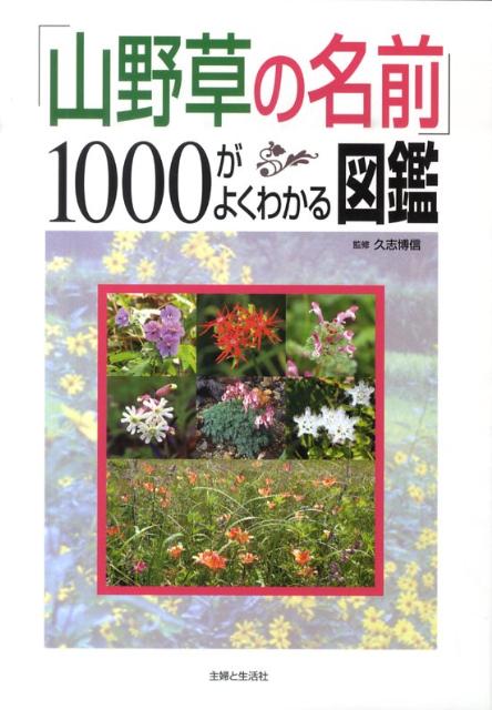 日本に自生する主な山野草を網羅。季節別の「野の花」「山地の花」「海岸の花」がひける！新植物分類体系に対応したー最も新しい山野草図鑑！コンパクト図鑑で最も多い１０００品種がわかる。