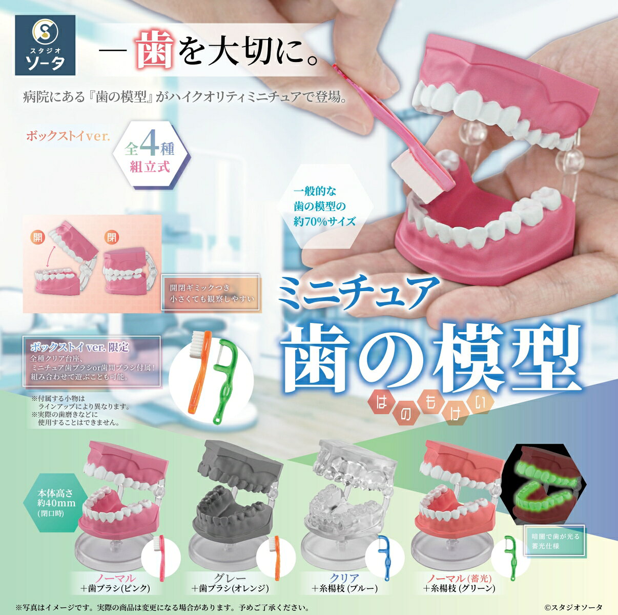 ●歯の模型がミニチュアサイズで登場！●細部でまでこだわった造形●ボックストイ限定で歯ブラシ・歯間ブラシが付属！
●歯磨きの練習はもちろん、模写にもオススメの商品です。●カラーリングは、ノーマル・グレー・クリア・蓄光の全4種展開。
●すべてオススメのカラーリングです。

&copy;スタジオソータ

・ホビー系商品についての諸注意
メーカー都合により発売の大幅な延期が発生する可能性がございます。
予約商品についてはメーカーから順次入荷次第の発送となります。メーカー公表の発売日とは異なる場合がございますのでご了承ください。【対象年齢】：15歳以上