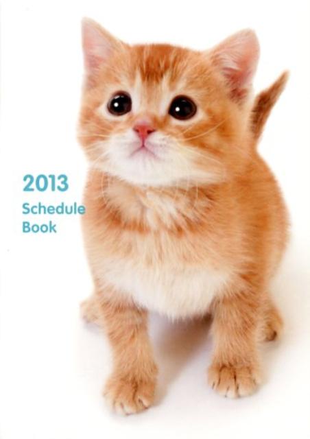 Schedule　Book　CAT（2013）