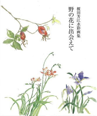 野の花スケッチ教室は、鎌倉、鶴岡八幡宮近くの銀の鈴ギャラリー奥の間。月一回、野の花の好きな人が、思い思いに小さな花々と向き合って輝きの時間を共にしました。
　新幹線で日帰りするほど熱心な榎田さんは、たくさんの草花たちと対話しながら、筆の運びも軽やかに花のいちばん喜びそうな姿、表情を鮮やかに掬いとるようになりました。
　ふり返ったら、こんなにたくさん！何冊ものノートから幸せに包まれた榎田さんの世界を一冊にまとめさせて頂きました。
ー阿見みどりー
◆もくじ◆
1月
・つばき　・寒あやめ
2月
・イカリソウ　・南天　・つばき
3月
・すみれ　・クリスマスローズ　・つばき（白）　・クチナシの実　・水木　・マサキ
4月
・山吹　・うつぎ　・桜　・むべ　・貝母百合　・ひおうぎ　・なるこゆり
5月
・雪ノ下　・雪餅草　・デイリリー　・笹ゆり　・ウグイスカヅラ　・オダマキ　・クレマチスバゴダ　・デンディベス　・テッセン
6月
・あやめ　・しゃじん　・クガイ草　・ラズベリー
7月
・山ほろし　・睡蓮　・オニユリ　・シモツケソウ　・アジサイ　・ガマ
8月
・朝顔　・ねじ花
9月
・キンミズヒキ　・つるうめもどき　・なでしこ
10月
・秋明菊　・ホトトギス　・鈴バラの実　・つるの実　・サンザシの実　・まゆみの実
11月
・バラ　・イワギリソウ　・カラスウリ　・野ぶどう　・いちご　・オリーブ
12月
・サネカズラ　・白山吹の実
作品
・風船カズラ　・つばき　・花たち（1）　・花たち（2）
