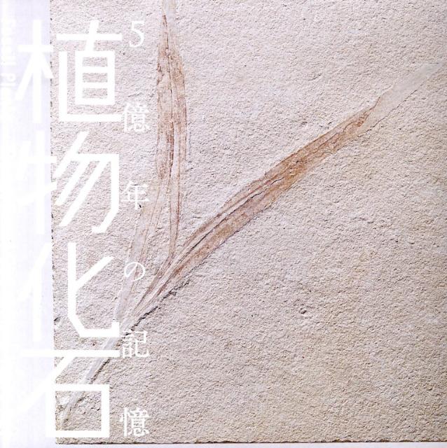 植物化石