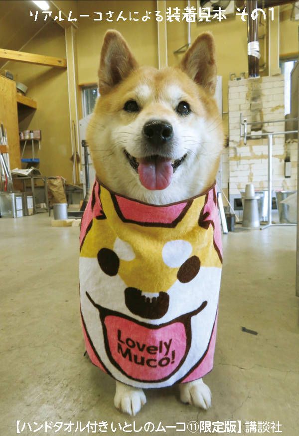 楽天市場 ハンドタオル付き いとしのムーコ 11 限定版 講談社キャラクターズa みずしな 孝之 楽天ブックス みんなのレビュー 口コミ