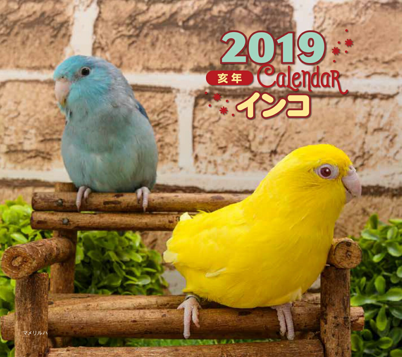 2019年ミニカレンダー　インコ