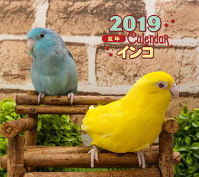 2019年ミニカレンダー　インコ [ 大橋 和宏 ]