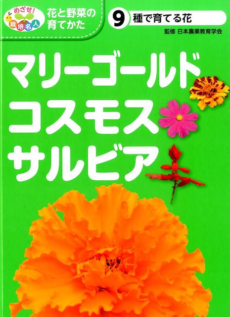 種で育てる花　マリーゴールド・コスモス・サルビア