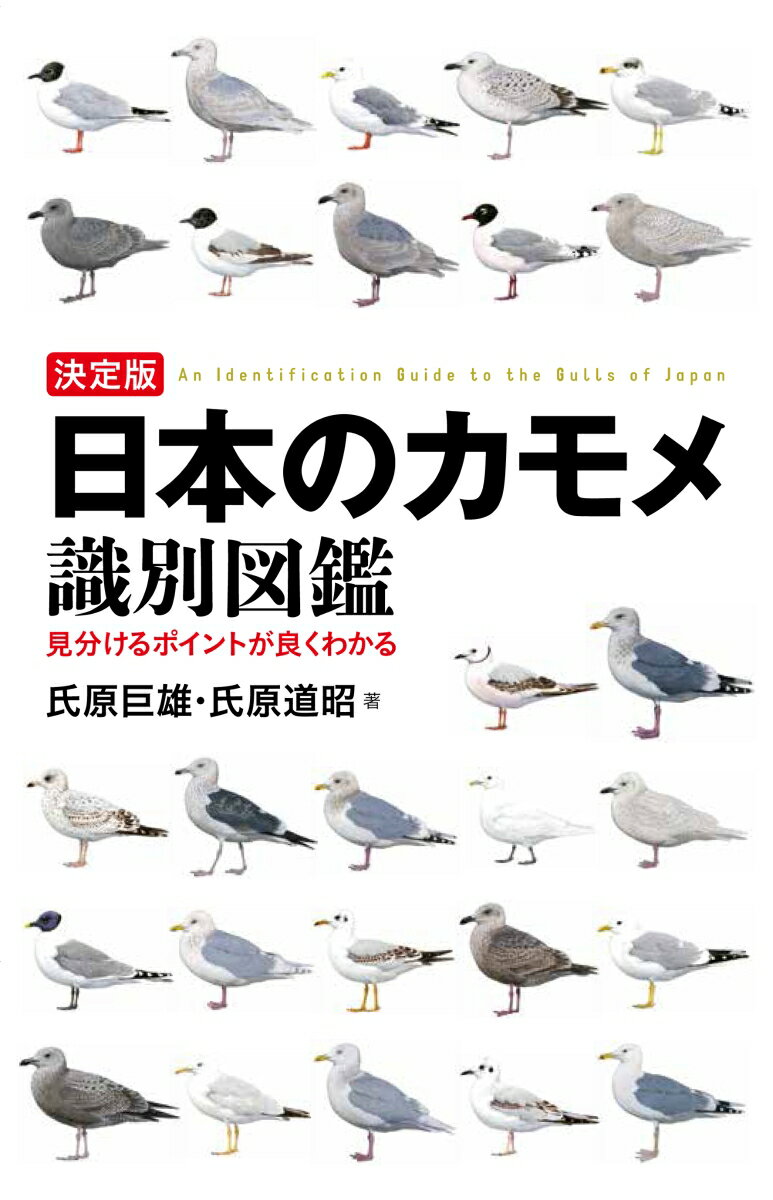 日本国内で記録がある、または観察例のあるカモメ類２６種（３７の種および亜種）を大型カモメ、小型・中型カモメ類に分けて紹介。さらに今後渡来の可能性があると思われるオグロカモメ、アメリカオオセグロカモメ、オオカモメ、ニシセグロカモメ亜種ｆｕｓｃｕｓ、ヨーロッパセグロカモメ亜種ａｒｇｅｎｔａｔｕｓ（４種および１亜種）を加えた３０種を掲載した。初心者にも使いやすい識別に役立つＩｎｄｅｘを巻頭に掲載し、全ての種の成鳥と幼鳥の静止および飛翔イラストの一覧と簡単な解説によって大まかな目星が付けられ、その後各種のページへ進むと詳しい識別のノウハウを学べる構成とした。部位の名称、年齢や換羽の見方、カモメ類の見分け方と注意点など、カモメ類識別に役立つ情報を満載している。