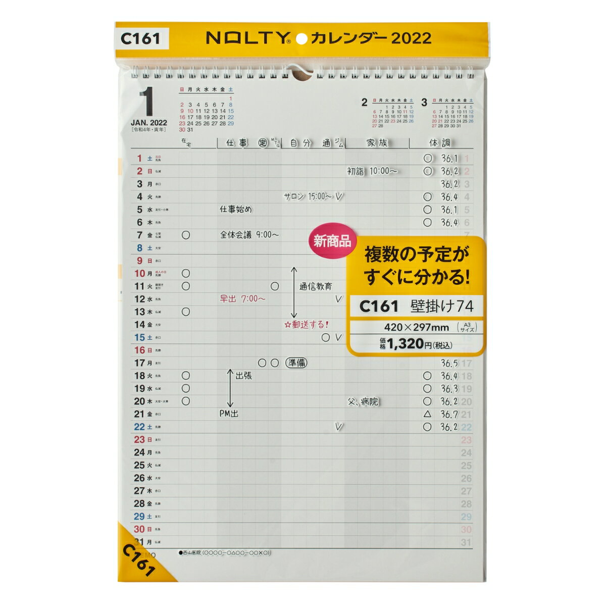 C161 NOLTYカレンダー壁掛け74（2022）