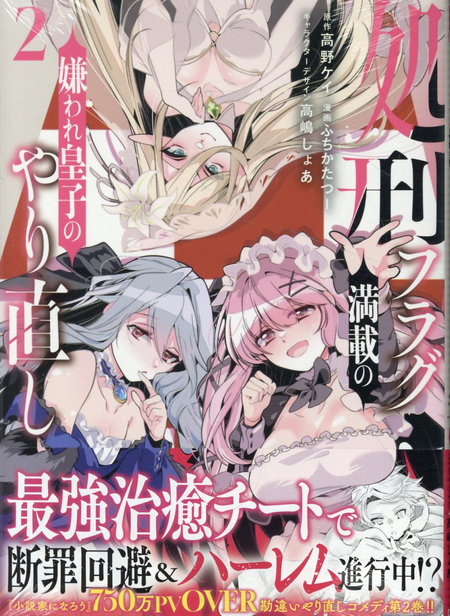 処刑フラグ満載の嫌われ皇子のやり直し(2) 表紙