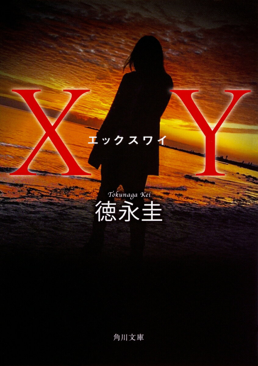 XY（1）