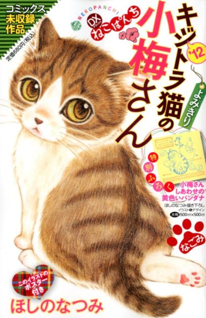 デラックスねこぱんちキジトラ猫の小梅さん（’12）