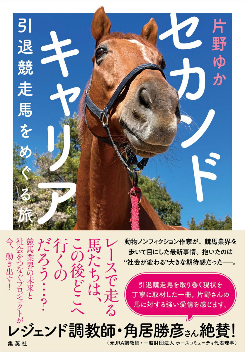 セカンドキャリア 引退競走馬をめぐる旅