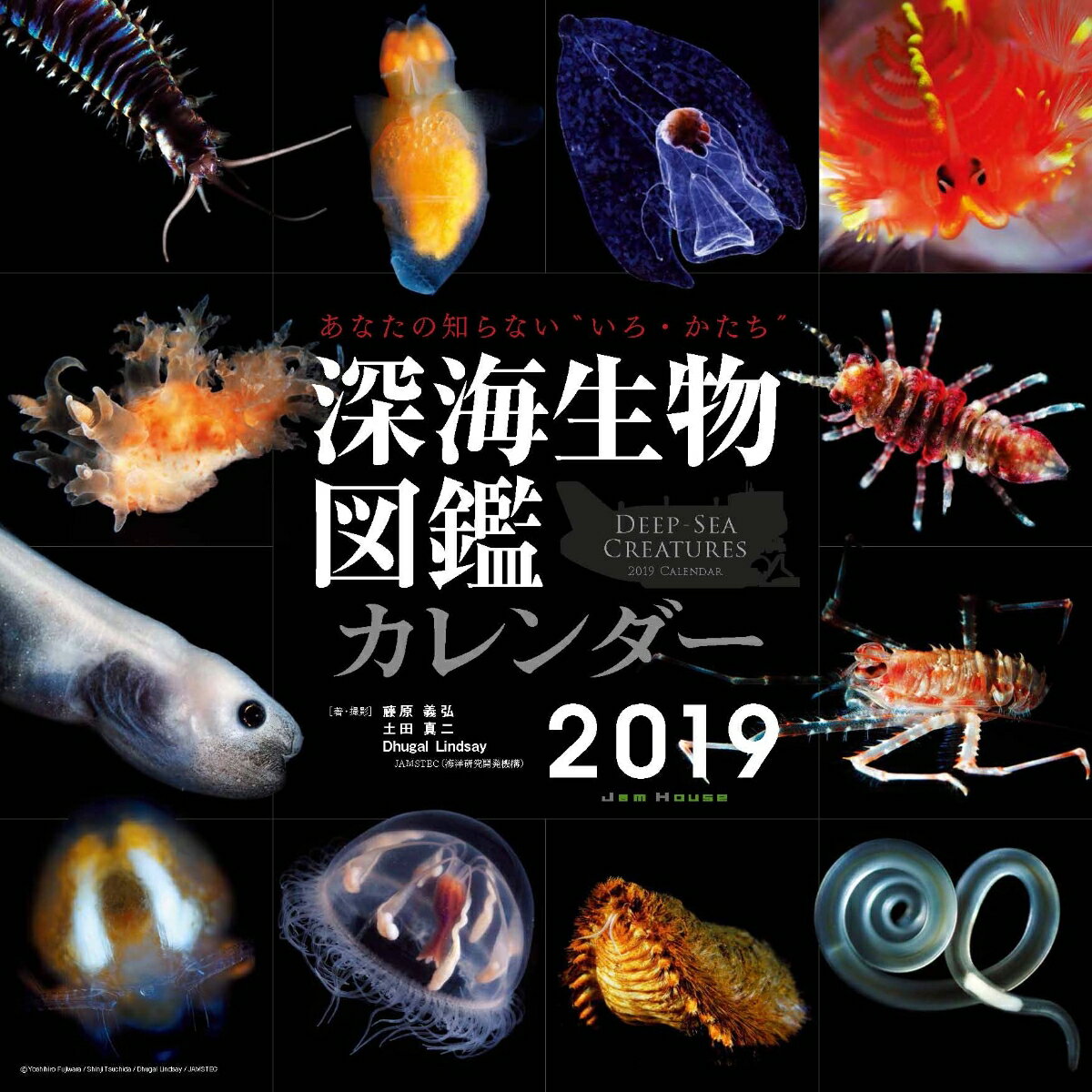 カレンダー「深海生物図鑑」2019年版