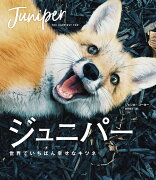 ジュニパー　世界でいちばん幸せなキツネ