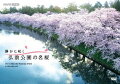 桜の名所として有名な青森県弘前市の弘前公園。
2020年、コロナ対策で閉鎖された無人の公園で、変わらず咲き誇る桜を愛でる。

2020年の春、新型コロナウイルスの感染予防のため、歴史上初めて弘前公園の閉鎖が行われた。
大正時代から始まる伝統のさくらまつりは100回目という節目を迎える予定だったが、中止となった。
公園が無人のなかで、例年と変わらぬように美しく咲き誇る桜を堪能する。
また、弘前の桜を愛する人々の願いも満開の桜とともに伝える。

・撮影は、ドローン空撮の第一人者である請川博一氏が担当。今しか撮れない無人の弘前公園の桜を地上と空から記録。
密集して咲く桜の圧倒的な美しさ、日本最古のソメイヨシノなど名桜の数々、
「桜のトンネル」や散った花びらが水面を埋め尽くす「花筏」など、弘前公園の桜の魅力を余すことなく映し出す。

・リンゴの剪定技術を応用することで樹勢を保ち、花付きの豊かな桜を育む桜守や弘前出身の美術家・奈良美智氏や地元の弘前の桜を愛する人びとの願いも伝える。

＜収録内容＞
・画面サイズ：16:9LB
・音声：ステレオ・ドルビーデジタル

　▽特典映像
・“誰もいない”弘前公園の桜　映像集（BGV）　※未公開カットを含む（予定） 
※収録内容：弘前城天守、本丸、二の丸、内濠、花筏、鷹丘橋、下乗橋、御滝桜、日本最古のソメイヨシノ、
　　　　　　中濠、杉の大橋、西濠、桜のトンネル、岩木山　ほか

＜キャスト＞
【ナレーション】副島萌生
【出演】奈良美智（美術家）

＜スタッフ＞
【撮影】請川博一
【取材協力】青森県、弘前市

&copy;2022 NHK