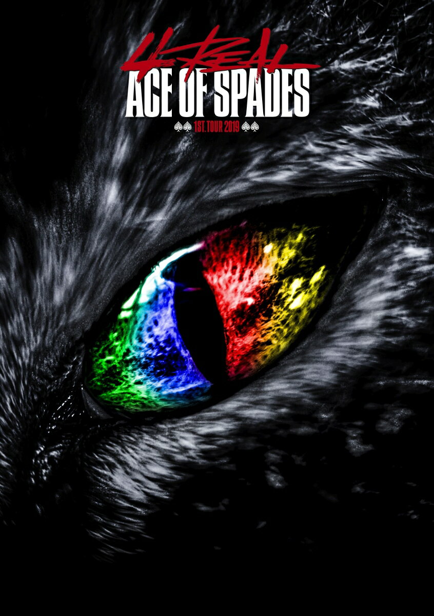 ACE OF SPADES 1st TOUR 2019 “4REAL” -Legendary night- [ ACE OF SPADES ]