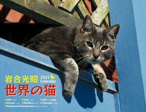 2021岩合光昭　世界の猫カレンダー [ 岩合光昭 ]