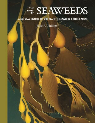 The Lives of Seaweeds: A Natural History of Our Planet's Seaweeds and Other Algae LIVES OF SEAWEEDS （Lives of the Natural World） [ Julie A. Phillips ]
