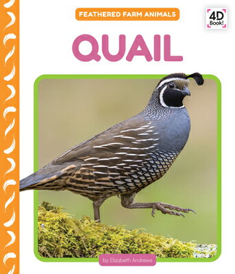 Quail QUAIL （Feathered Farm Animals） [ Elizabeth Andrews ]