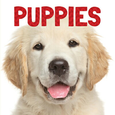 Puppies PUPPIES （Animal Lovers） [ Stephanie Meyers ]