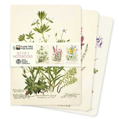 Royal Botanic Gardens Edinburgh Set of 3 Standard Notebooks ROYAL BOTANIC GARDENS EDINBURG （Standard Notebook Collection） 