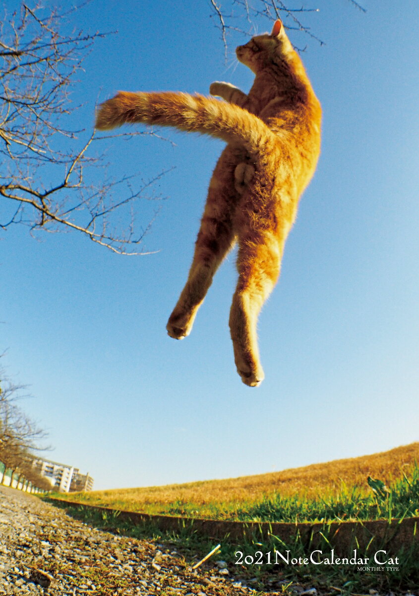 2021ノートカレンダー　ねこ