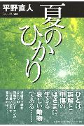 夏のひかり