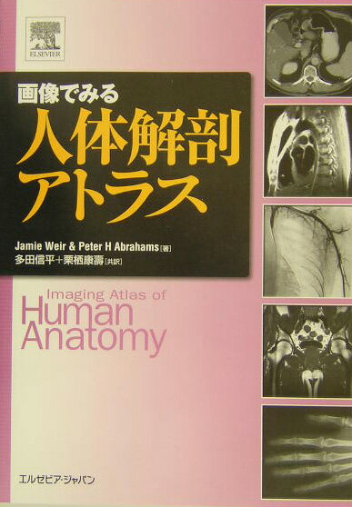 本書はＸ線、磁気共鳴、超音波を媒体として、古典的な手法から最新の高度技術までを駆使して描き出した人体の解剖学書である。そこには屍体解剖学では得られない器官の動態と旋律を知ることできるし、外科解剖学では探れない深部の状態と機能を知ることができる。最新画像を７８６図収録。