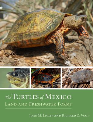 The Turtles of Mexico: Land and Freshwater Forms TURTLES OF MEXICO [ John Legler ]