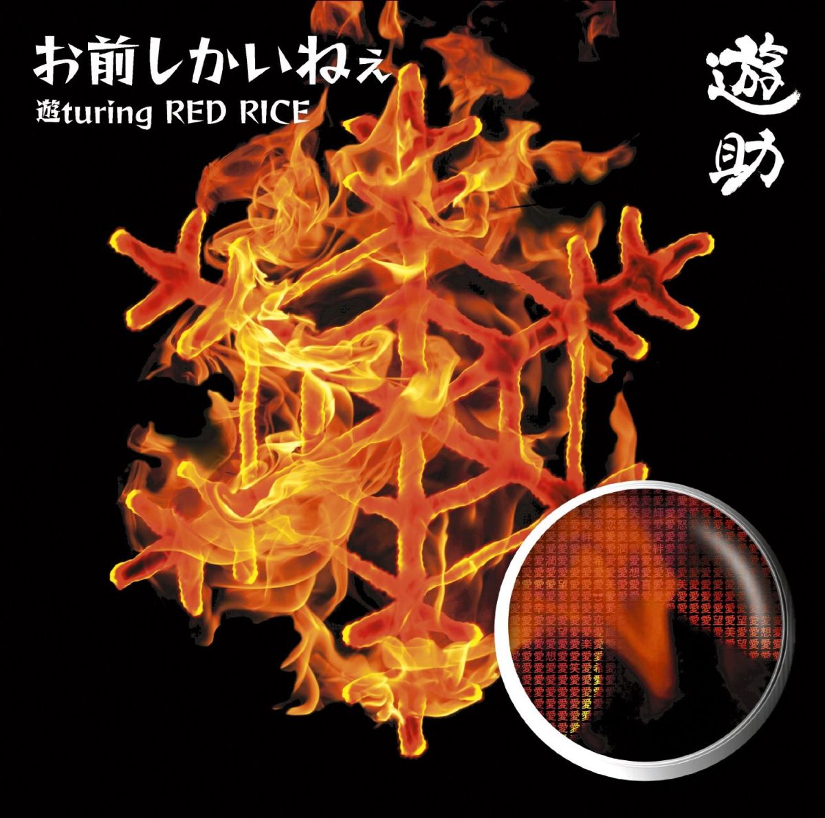 お前しかいねぇ 遊turing RED RICE (from湘南乃風) (初回限定盤A CD＋DVD)