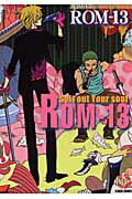 ROM-13