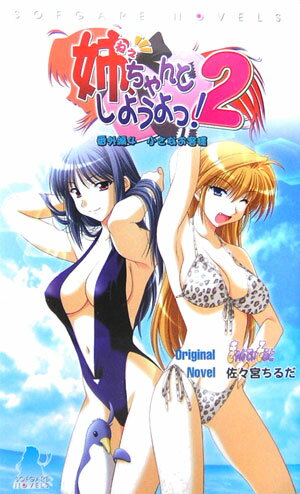 姉、ちゃんとしようよっ！2（番外編　4（小さなお客様））