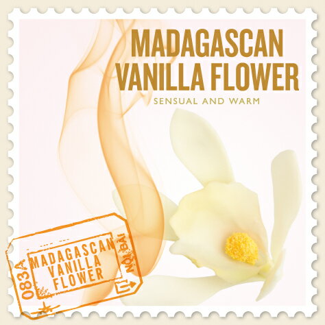SCENTS OF THE WORLD〜 THE BODY SHOP MADAGASCAL VANILLA FLOWER [ Nature Notes ]