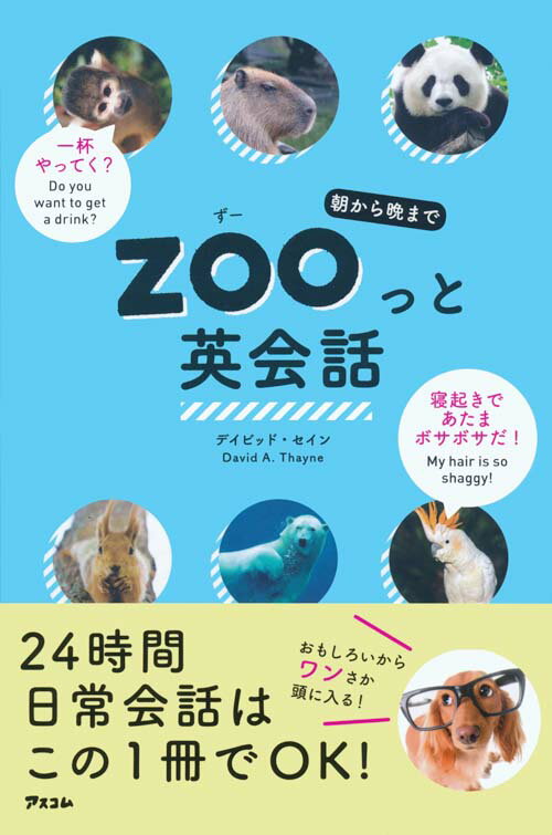 朝から晩までZOOっと英会話 [ ディビッド・セイン ]