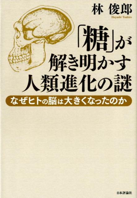 「糖」が解き明かす人類進化の謎 なぜヒトの脳は大きくなったのか [ 林俊郎 ]