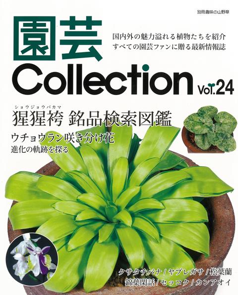 【バーゲン本】園芸Collection　Vol．24