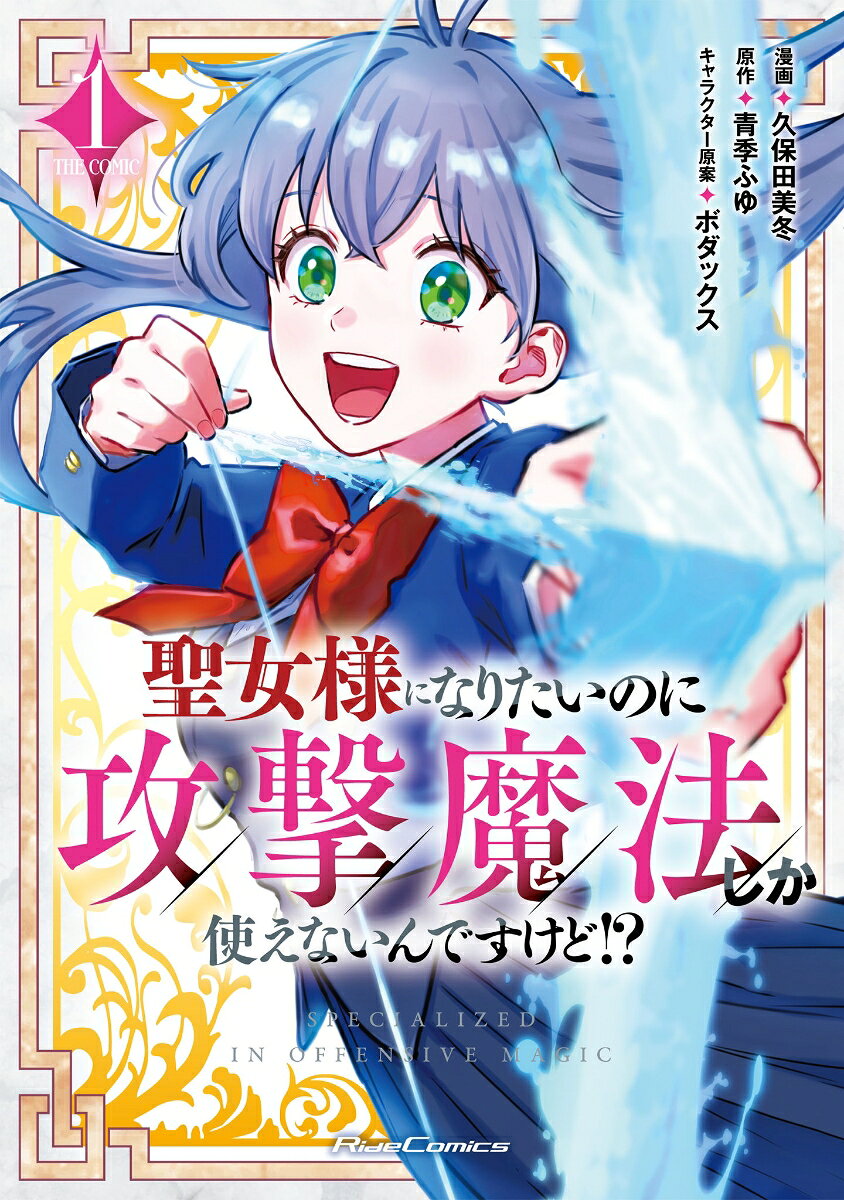 聖女様になりたいのに攻撃魔法しか