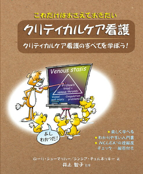 これだけはおさえておきたいクリティカルケア看護