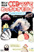 朝だよ！貝社員爆笑！！マジでめっちゃオモロイ海のいきもの図鑑